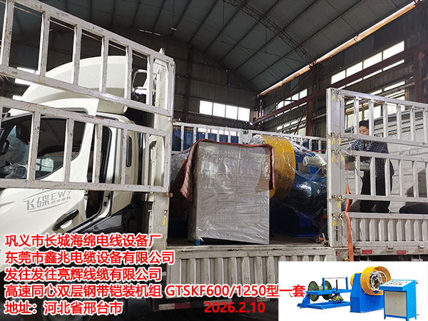 ����ͬ��˫��ִ���װ����