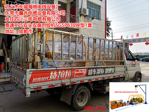 ����RVS˫ͷ˫�̶Խʻ�SGSP630W��